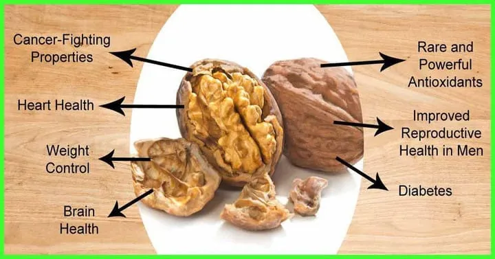 walnut3.webp