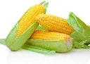 corn3.webp